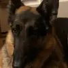daniellecote146 - @daniellecote146 - TikTok