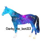 Danielle Crowley - @charley_the_best123 - Instagram