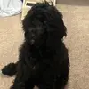 DanielleCulp - @adventures.of.dorydoodle - TikTok