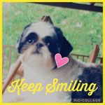 Danielle Culpepper - @culpuppergrooming - Instagram
