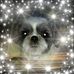 Danielle Cyr - Facebook
