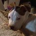 Danielle Damm - Facebook