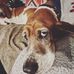 Danielle Damron - Facebook