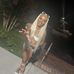 Danielle Dancy - Facebook