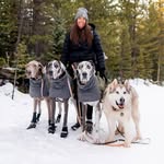 Danielle | Great Danes + a Malamute - @thehullpack - Instagram