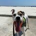 Danielle Danforth Miller - Facebook