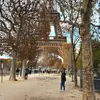 Danielle Daoud Bou K - @danielledaoudboukaram - TikTok