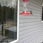 Danielle Daoust - Facebook
