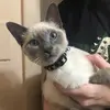 Danielle Dapp - @danielle_dapp - TikTok