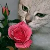 danielledellac - @danielledellac - TikTok