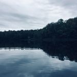 Danielle Demers - @danielle_photograthy - Instagram