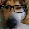 Danielle Denson - @danielledenson7 - TikTok