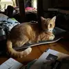 Danielle Derby - @danielle.derby34 - TikTok