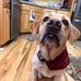Danielle Deshields - Facebook