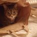 Daniela Detering - Facebook