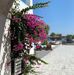 Daniele Devaud - Facebook