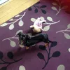 Mia - @danielledevenney1 - TikTok