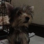 Sophia Danielle C. Devera - @sophia_awesomelycrazy - Instagram