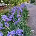 Florence Devillers - @danielledevillers783 - Instagram