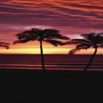 Danielle Dicamillo - Facebook