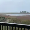 daniellediehl309 - @mammad478 - TikTok