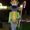 danielle dillon - @chasingcrazy - TikTok