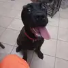 Daniele Di Pietro - @daniele.di.pietro2 - TikTok