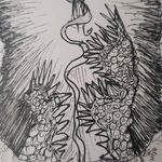 Danielle di Pietro - @shy_baby_millipede - Instagram