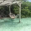 Danielle D'Onofrio - @danielledonofrio0 - TikTok