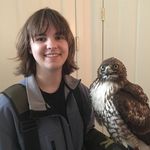 Danielle Dube - @aerial_falconer - Instagram