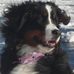 Danielle Durand - Facebook