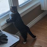 Danielle Durand-Judge - @mommy2boys2001 - Instagram