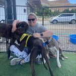 Danielle Dyer - @daniellekissesdogs - Instagram