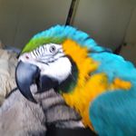 Danielle Eastman - @danieast64 - Instagram