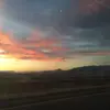 Danielle Edmondson - @danielleedmondson - TikTok