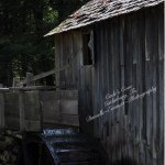 danielleemmettphotography - @danielleemmettphotography - Instagram