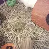 Danielle ernst - @princesspinkie1224 - TikTok
