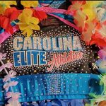 Danielle Estes - @carolina_elite_athletics - Instagram