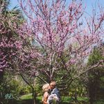 Danielle Falk Bryant - @dnf887 - Instagram