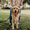 Danielle Ferri - @ferritale_life - TikTok