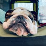 Danielle Downing Ferris - @dferrisnebraska - Instagram