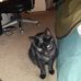 Danielle Finister - Facebook