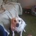 Danielle Flannery - Facebook