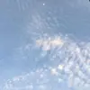 Danielle fletcher - @fletcher8981 - TikTok