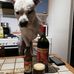 Daniel Lefort - Facebook