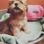 Danielle. fournier - @fdanielle119 - Instagram