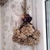 Danielle Fournier - Facebook