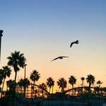 Danielle Franz, M.A, LMFT - @dani.lmft - Instagram