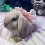 Danielle French - @my.sweet.melo - Instagram