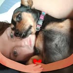 Danielle Fry - @danielle.fry.391 - Instagram